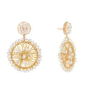 Acandi gold new