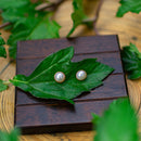 1 pearl stud earrings